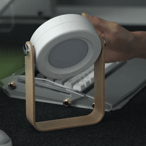 Multifunctional Retro Study Light