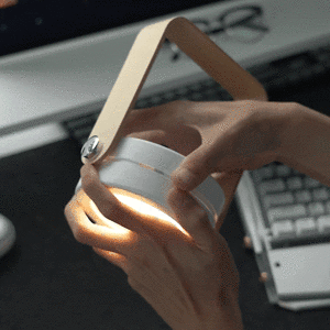 Multifunctional Retro Study Light