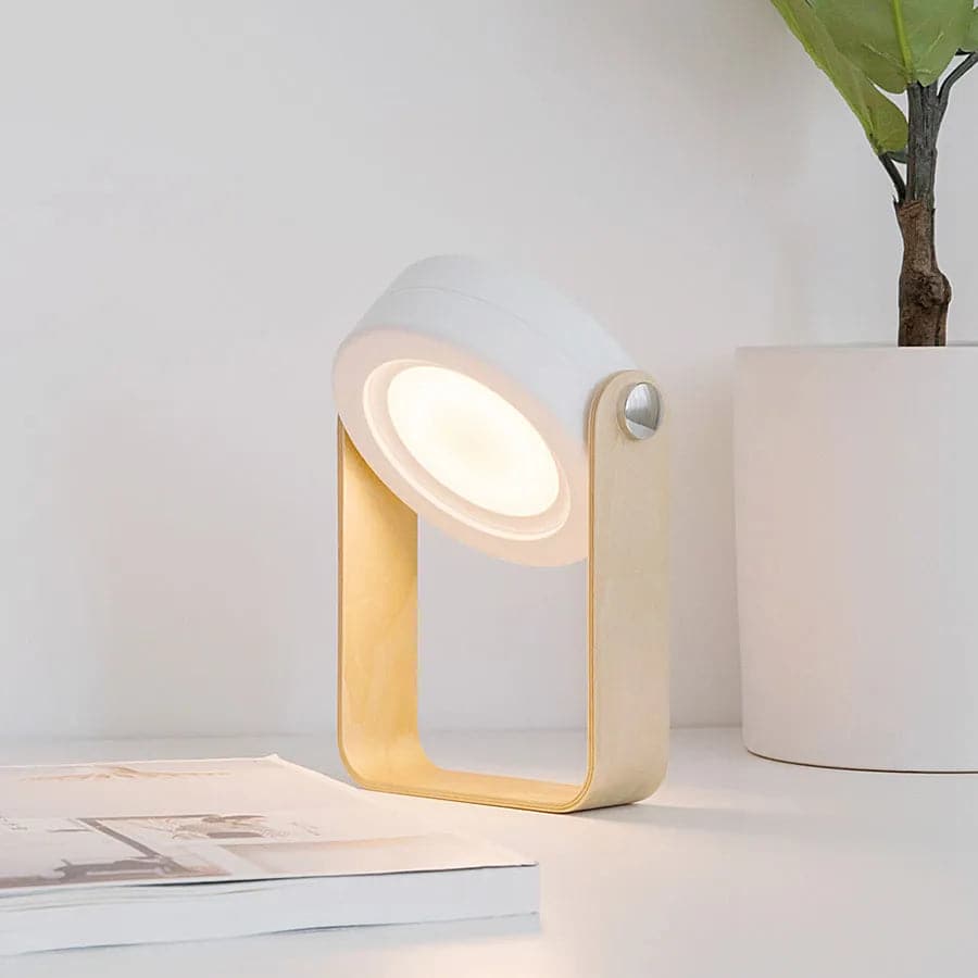 Multifunctional Retro Study Light