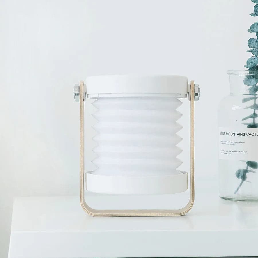Multifunctional Retro Study Light