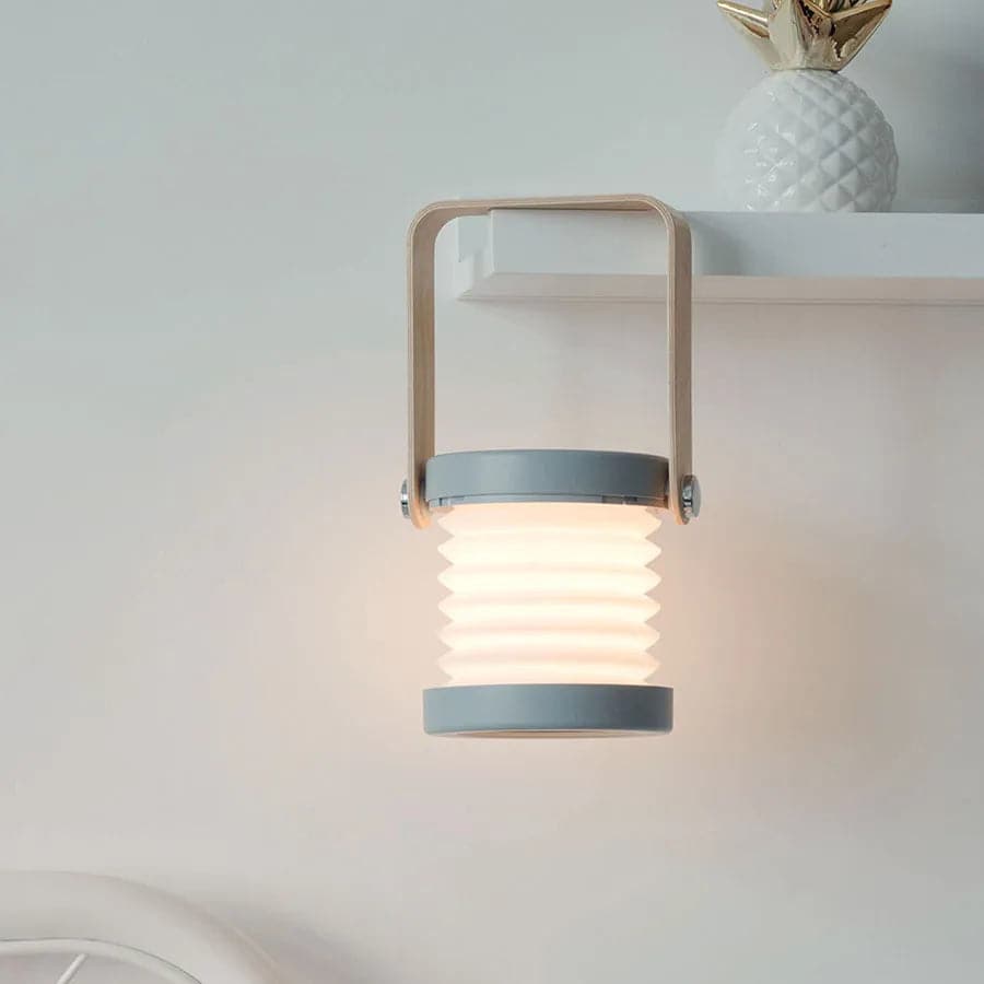 Multifunctional Retro Study Light