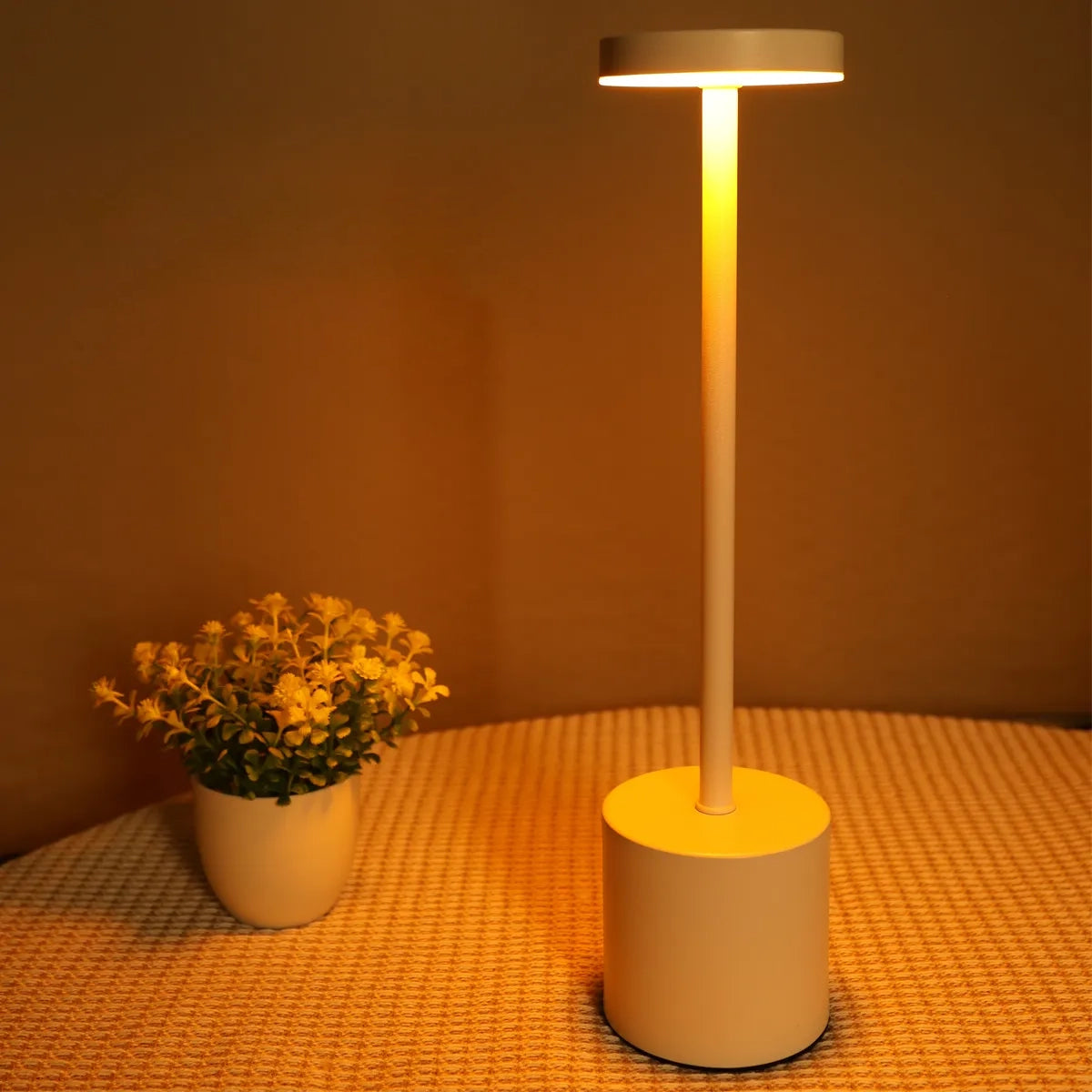 Simple LED Rechargeable Touch Metal Table Lamp