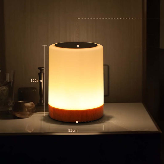 Night Light Touch Sensor Lamp